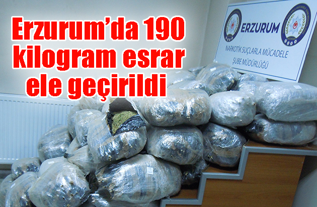 Erzurumda 190 kilogram esrar ele geçirildi