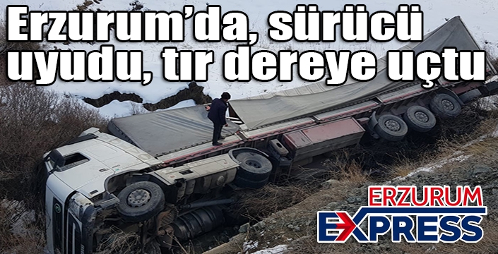 Sürücü uyudu, tır dereye uçtu