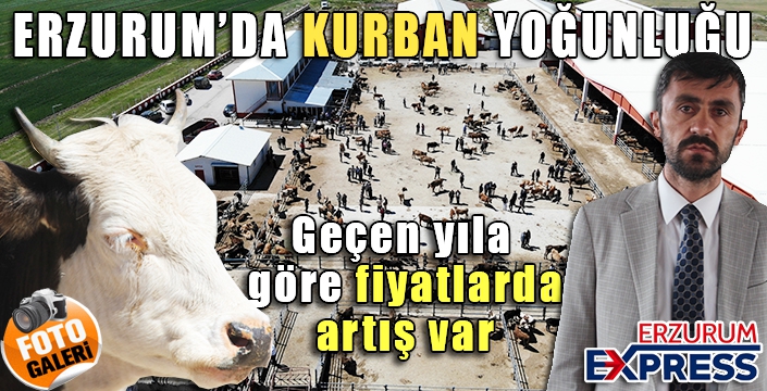 Erzurum'da kurbanlıklar görücüye çıktı