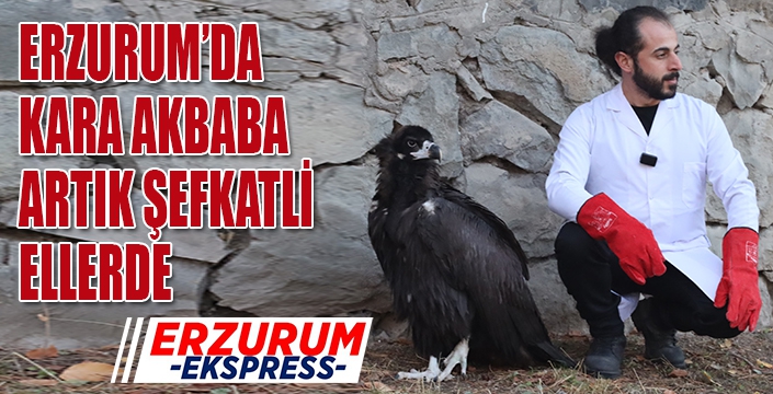 Kara akbaba artık şefkatli ellerde