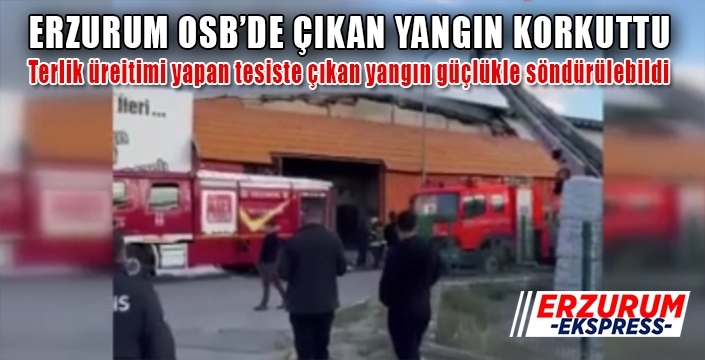 Erzurum'da OSB'de çıkan yangın korkuttu
