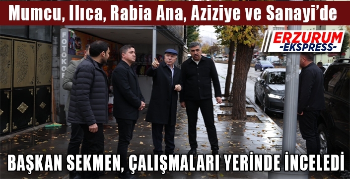 Başkan Sekmen, saha gezilerini sürdürüyor