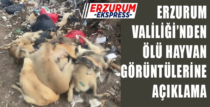 Erzurum Valiliği’nden ölü hayvan görüntülerine açıklama