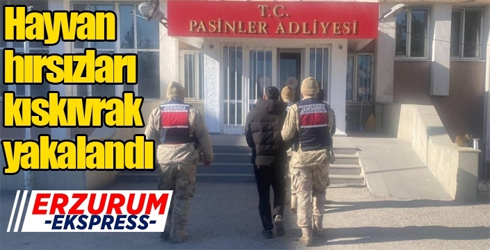 Hayvan hırsızları kıskıvrak yakalandı...