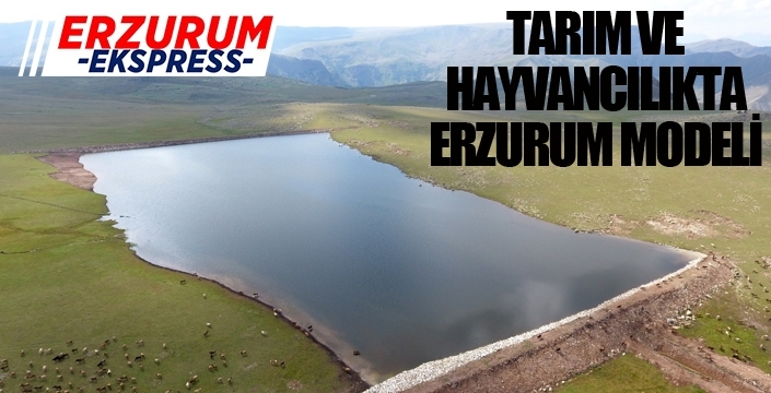 TARIM VE HAYVANCILIKTA ERZURUM MODELİ